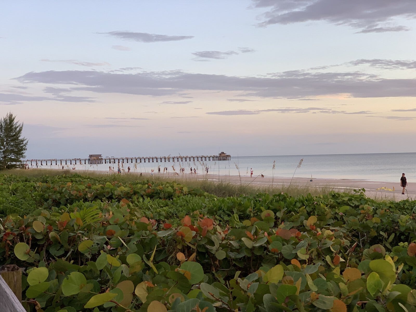 Naples Pier from beach