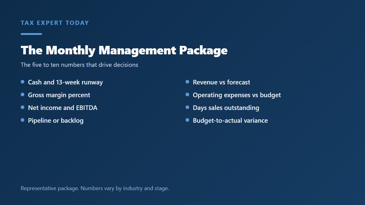 The monthly management package a fractional CFO delivers to a business owner