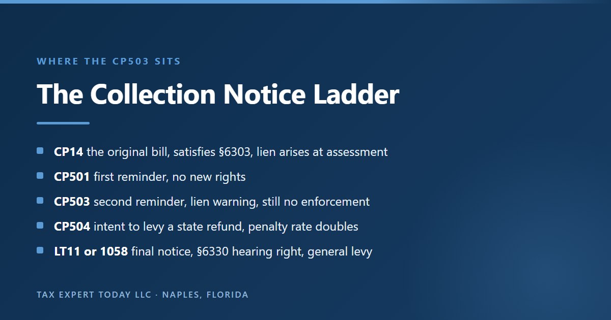 The IRS collection notice ladder showing where the CP503 notice sits, beginning with the CP14 original bill and statutory notice and demand, then the CP501 first reminder, the CP503 second reminder, the CP504 notice of intent to levy a state tax refund, and finally the LT11 or Letter 1058 final notice carrying general levy authority and the Collection Due Process hearing right