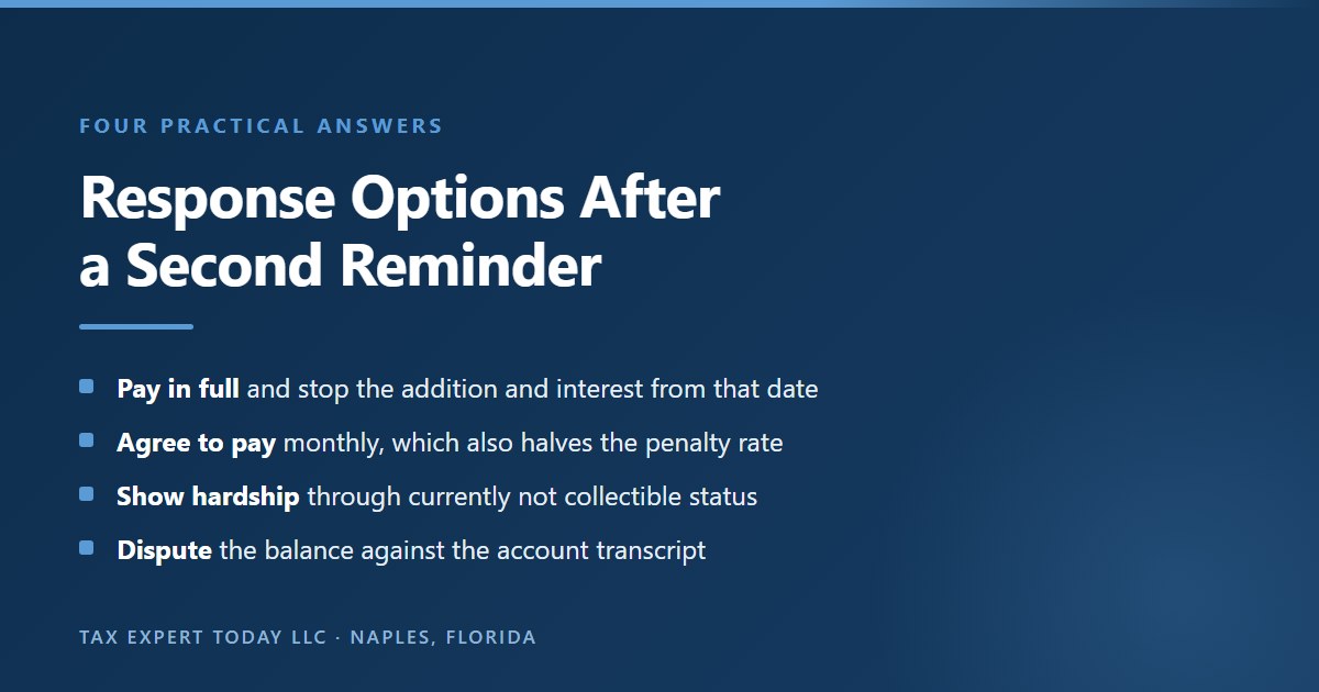 Comparison of the response options available after an IRS CP503 second reminder notice, showing full payment, an installment agreement which also reduces the failure to pay rate to 0.25 percent per month, a partial payment installment agreement, currently not collectible hardship status, an offer in compromise, and disputing the balance against the account transcript