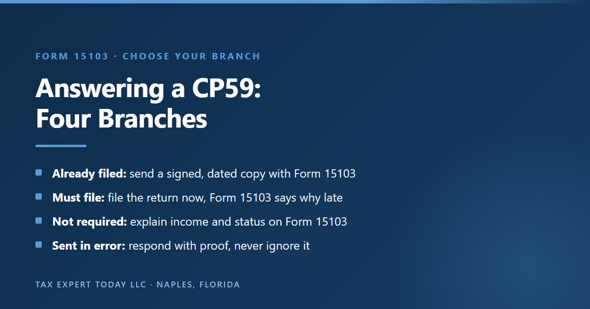 Decision tree for answering an IRS CP59 notice: if you already filed, send a signed and dated copy of the return with Form 15103; if a return was required and not filed, file it now with Form 15103 explaining why it is late; if no return was required, complete the nonfiling section of Form 15103 with filing status, age and income; and if the notice was sent in error, respond with proof such as an e-file acknowledgment or extension
