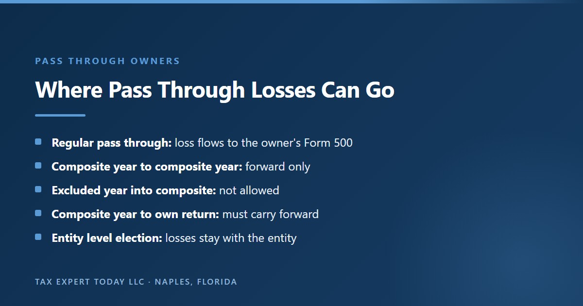 Where pass through losses can go for a Georgia net operating loss: a regular pass through loss flows to the owner Form 500, a composite return loss carries forward to another composite year only, a loss from an excluded year cannot enter a composite year, a composite year loss must carry forward to the member own return, and losses of an entity electing the pass through entity tax stay with the entity
